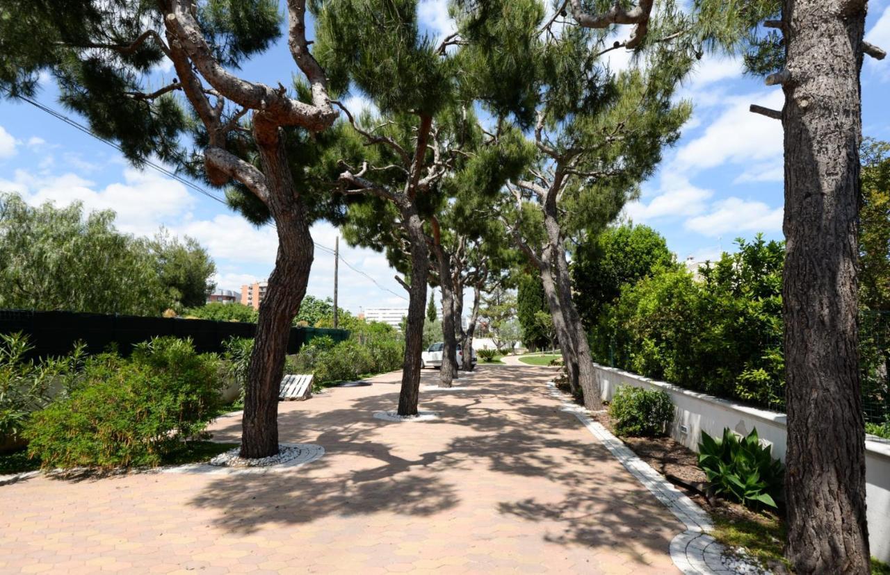 דירות בארי Casa Agapantus Con Piscina Da Giugno מראה חיצוני תמונה